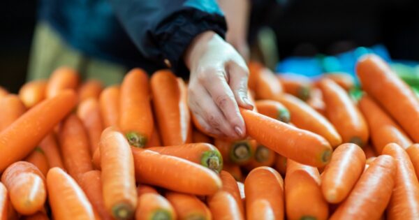 ¿Por qué Grimmway Farms retiró las zanahorias del mercado en California? Explicación del brote de E. Coli